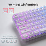 Perixx PERIBOARD-836 バックライトワイヤレスキーボード(US英語配列) 透明キー、USB-C充電、Windows・Mac・Android対応