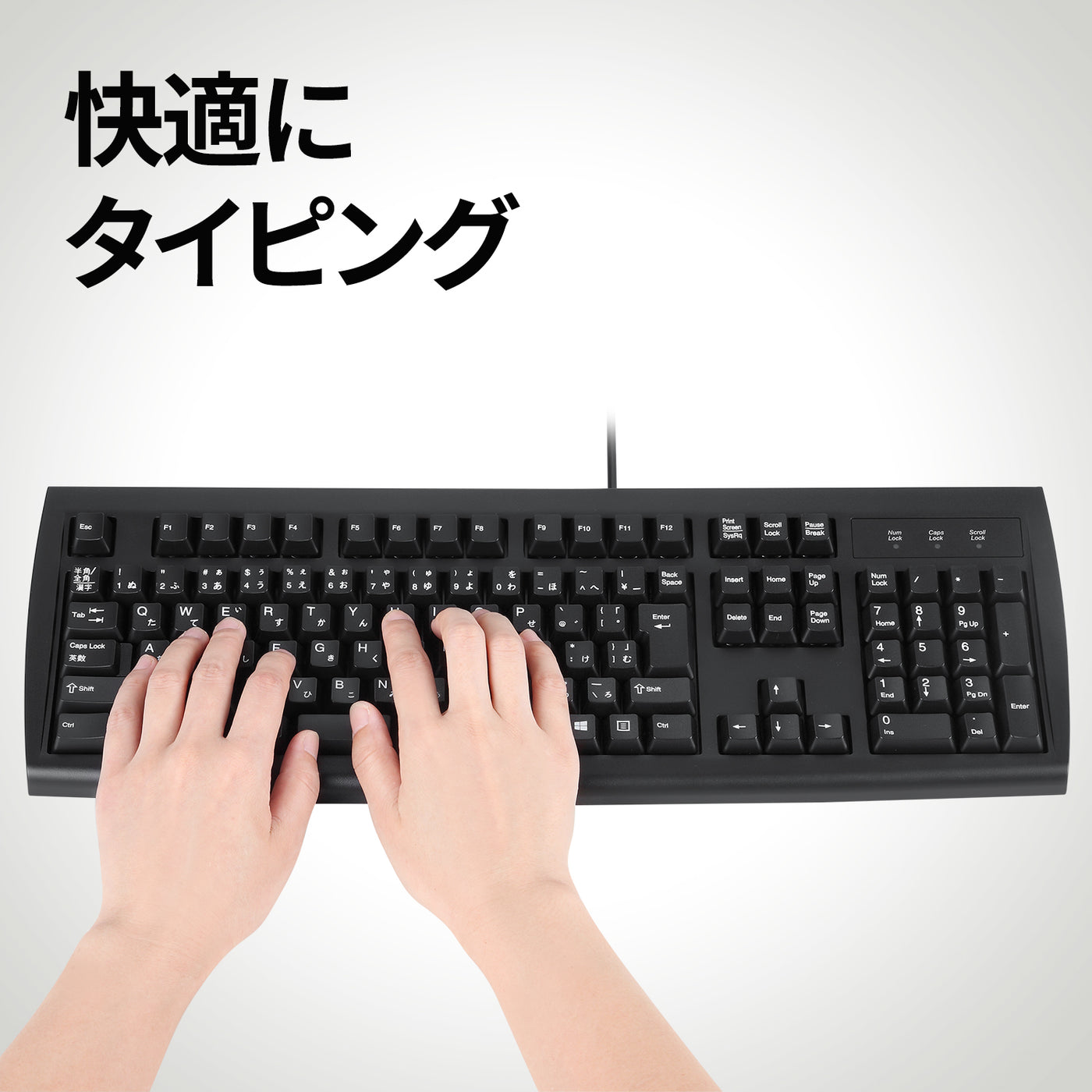 PERIBOARD-107P PS/2コネクタ クラシック キーボード - フルサイズ – Perixx Japan