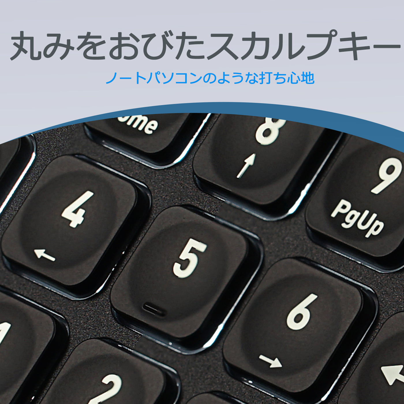 PB-333-US6_1400x.jpg?v=1744639218