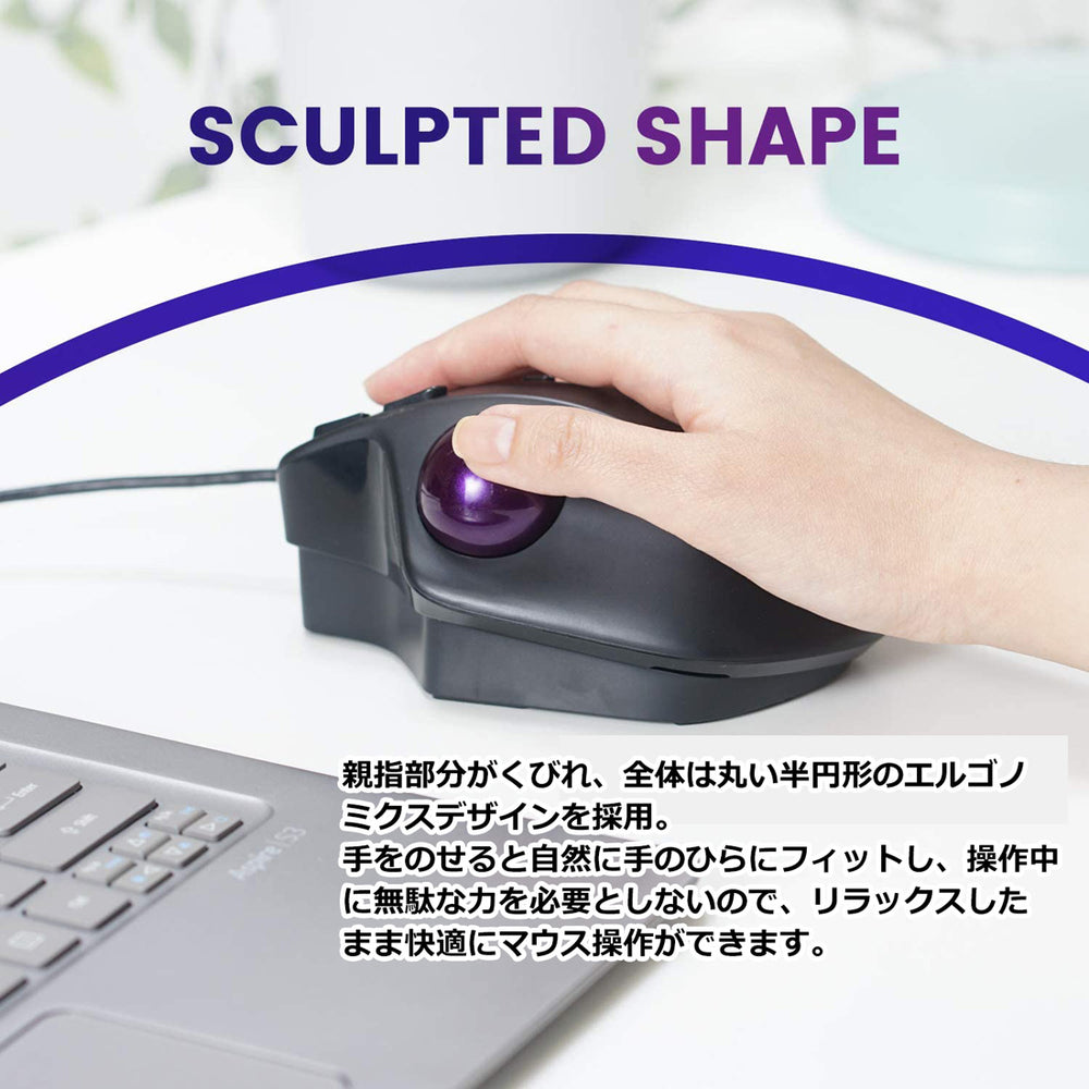 PM-520-6_Japanese_1000x.jpg?v=